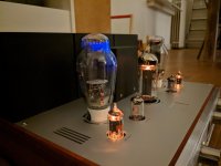 PXL_20201127_004139551.jpg