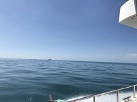 IMG_7948.jpg