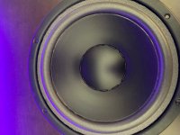 Duntech Crown Prince Woofer 1.jpg