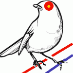 birdwire-42.gif