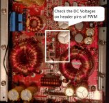 amp5.jpg