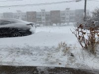 IMG_0581.jpg