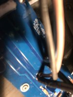 IMG_4704.jpeg