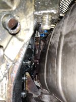 IMG_20210225_163636.jpg