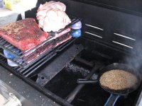 IMG_2244 small.jpg