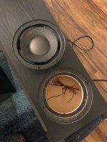 RS-8 woofer removed.jpg