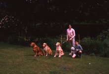 1967 Hearing Loss.jpg