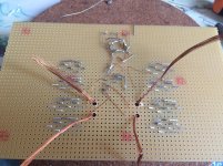 IMG_9844[1].jpg