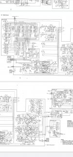 Screenshot_20210308-164210.jpg