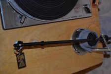 DSC_0023.jpg