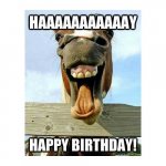 yellow-octopus-happy-birthday-meme-50.jpg