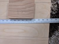 PXL_20210416_185159714.jpg
