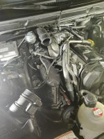 IMG_20210603_204156.jpg