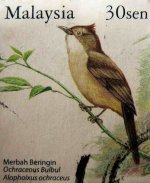 malaysia bird.jpg