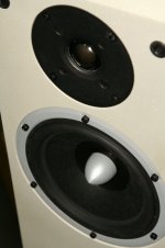 close up.jpg