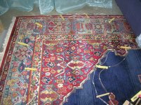 DSCN5962.jpg