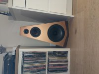 PXL_20210312_183924654.jpg