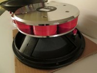 Focal Audiom 12ax term-II.JPG