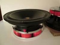 Focal Audiom 12ax terminal.JPG