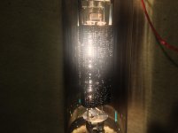 IMG_4530.jpg