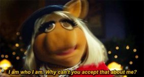 miss piggy.jpg