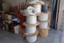 DSC01386.jpg