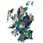 Scottish Dog Breeds.png