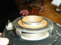voice_coil.jpg