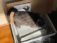 furball-approved.jpeg