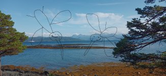IMG_20210712_174501_768_Real_Norway.jpg