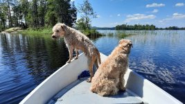 veneessä 0621.jpg