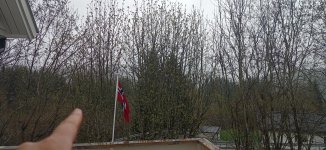 IMG_20210517_124231_659.jpg