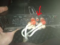 amp 1 out.jpg