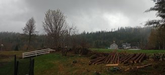 IMG_20210517_124249_192.jpg
