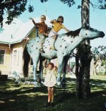 Pippi horse.jpg