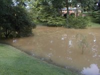 LakeWoeBeGone.JPG