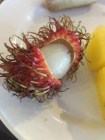 4E9B9B11-B4CB-4A6C-800B-2404E26B6CB5.jpeg