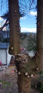 IMG_20210508_160714_339.jpg