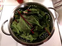 Beetroot leaves and stems.jpg