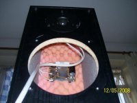 morel mdt30s and upgraded crossover and damping..jpg