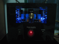 picture 113.gif