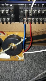 bi amp XO.jpg