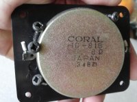 Coral 81.jpg