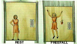 free-fall.gif