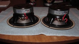 IMG_1022.jpg