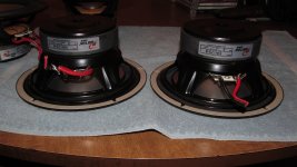 IMG_1023.jpg