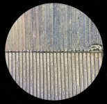 91208AA9-1BEA-4171-BF47-888CF49D08D6.jpeg