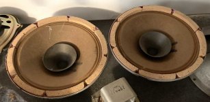 philips-10FR.jpg