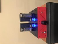 Red Roo amp.jpg