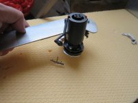 IMG_6025.jpg